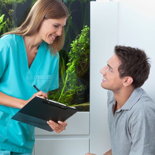 orthodontist team checking in with patient