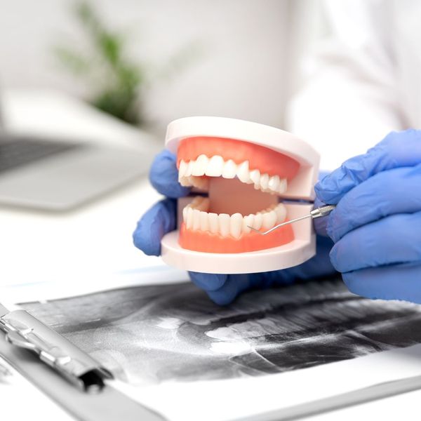 showing a model of healthy tooth alignment 