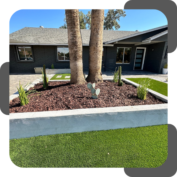 Tree & Shrub Planting2.png