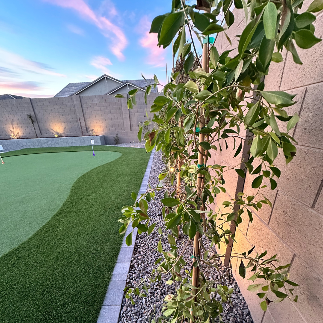 Untitled design - 2025-01-17T082431.440.png