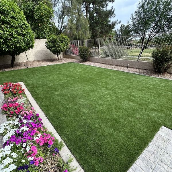 Beating the Heat_ The Best Shade Solutions for Phoenix Homeowners - 4.jpg