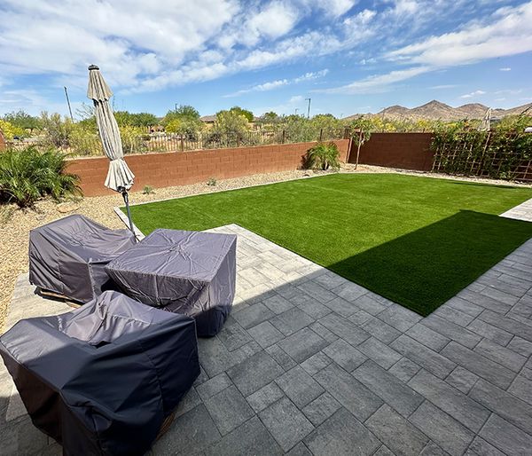 Image of a backyard with young trees