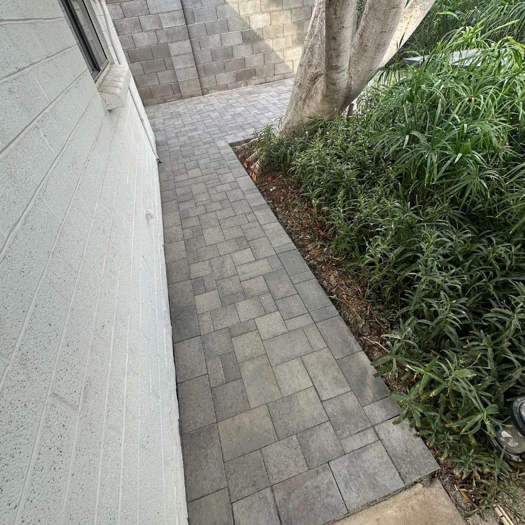 Untitled design - 2024-11-11T154550.326.png