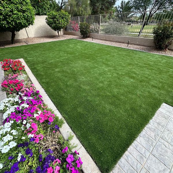 Backyard area with a garden