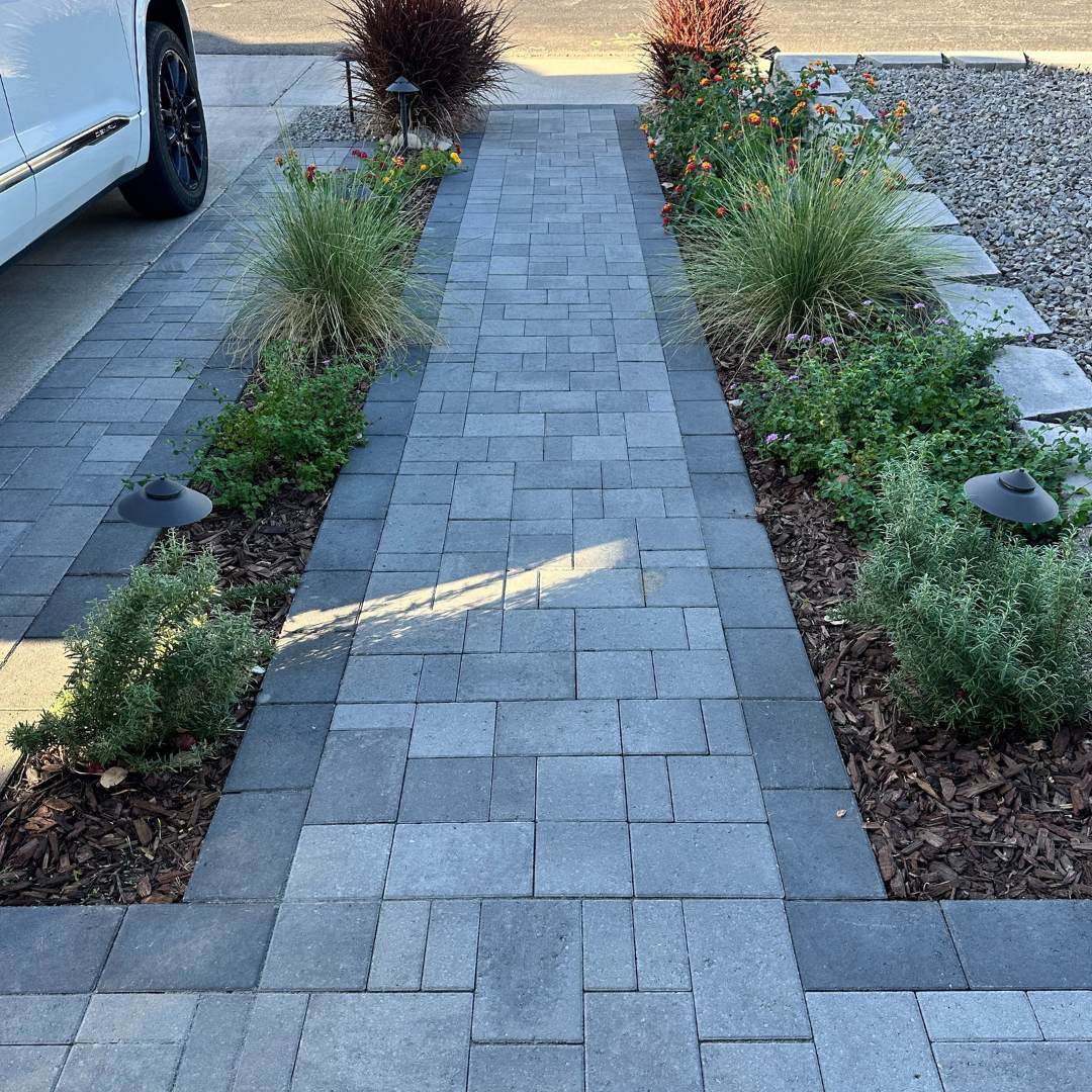 Untitled design - 2024-11-11T154541.954.png