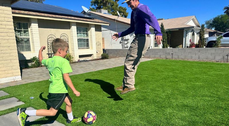 The Ultimate Guide to Back Yard Hardscaping in Arizona.jpg