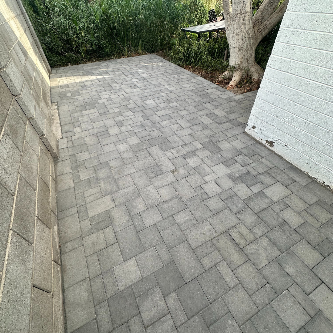 Untitled design - 2024-11-11T154558.048.png