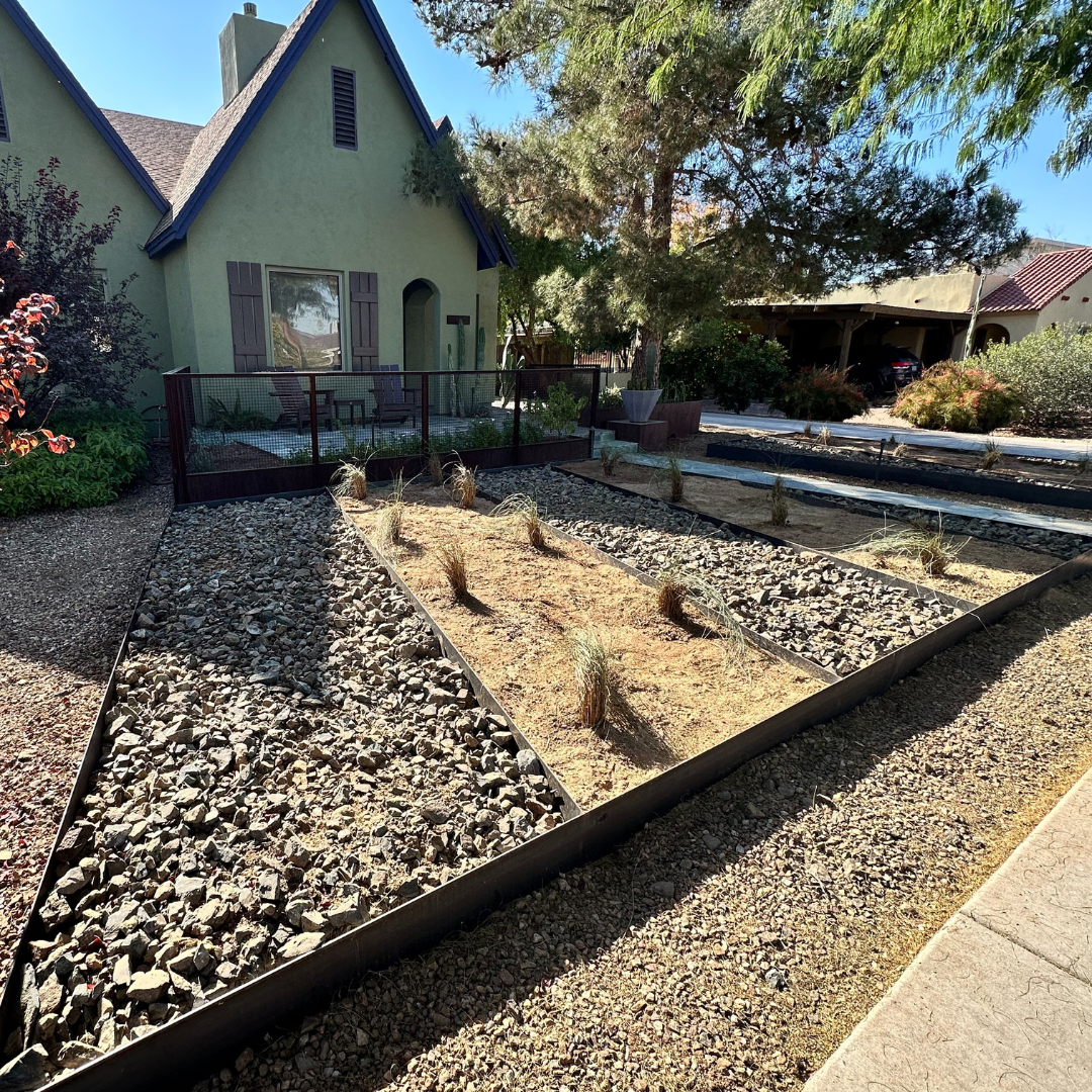 Untitled design - 2025-01-15T165500.551.png