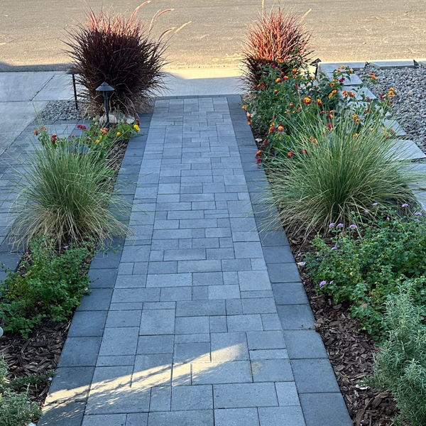 Building a Backyard That Survives the Arizona Sun3.png