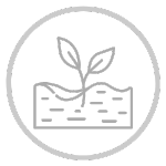 Tree & Shrub Planting - icon1.png