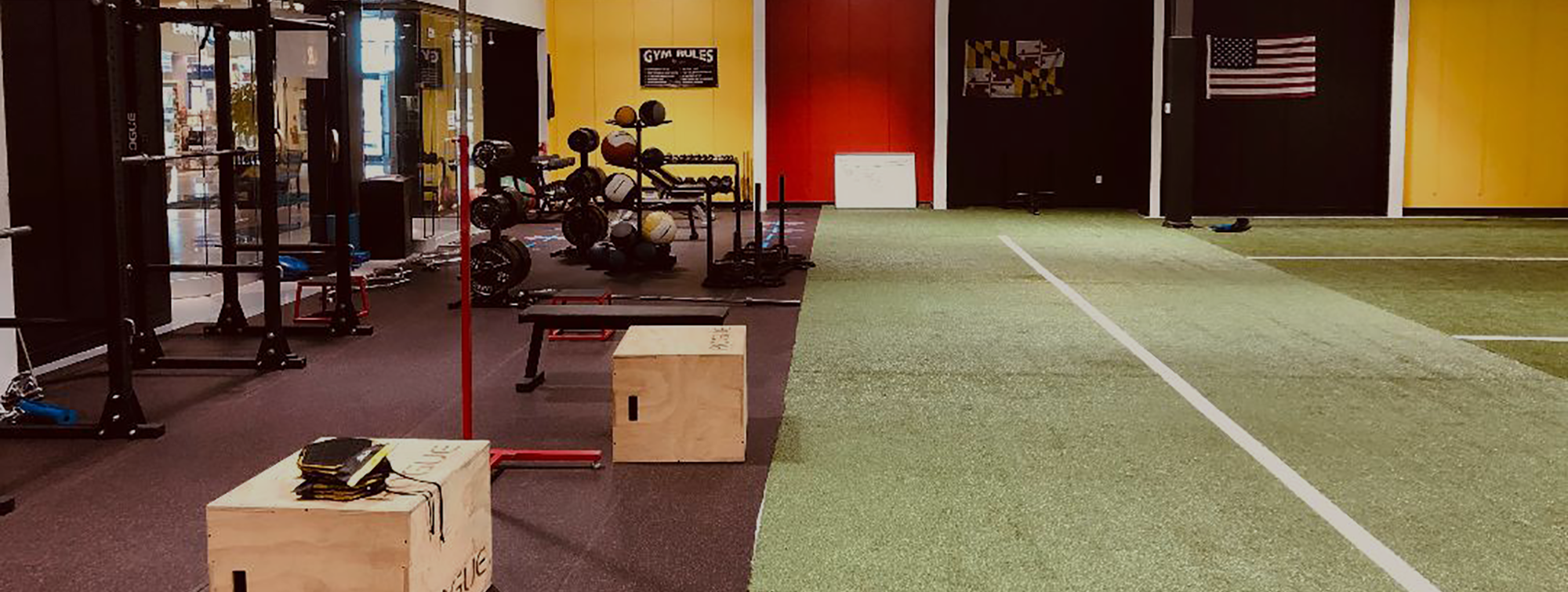 Gym Turf.png