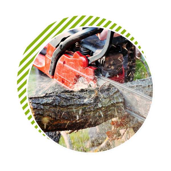 tree trimming with a chainsaw tree trimming with a chainsaw