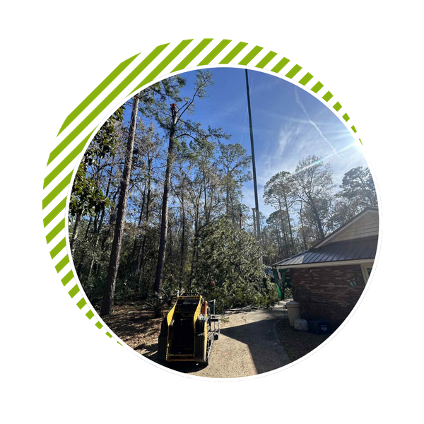 Inner Page Image 1.png