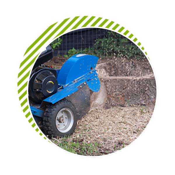 stump grinding stump grinding