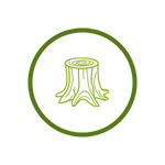 Icon 3.png
