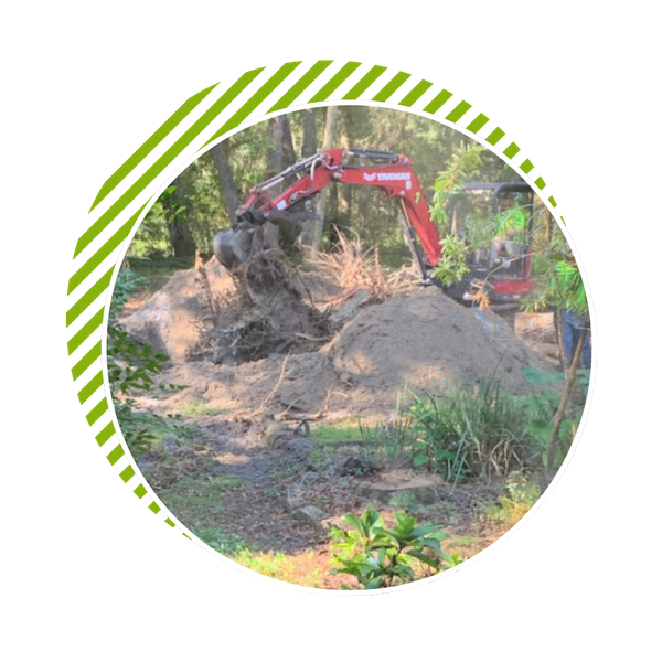 excavation excavation