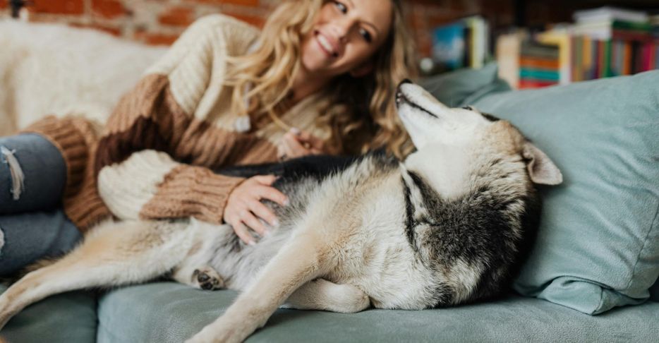 woman petting husky mix dog on couch 