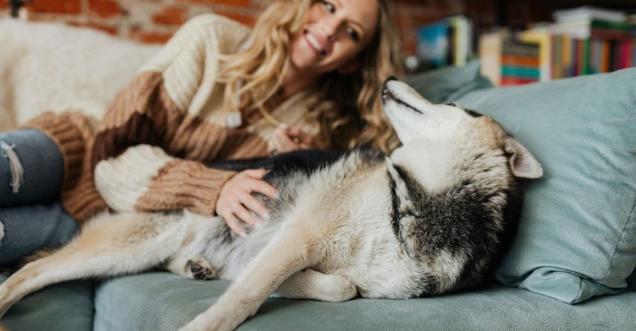 woman petting husky mix dog on couch 