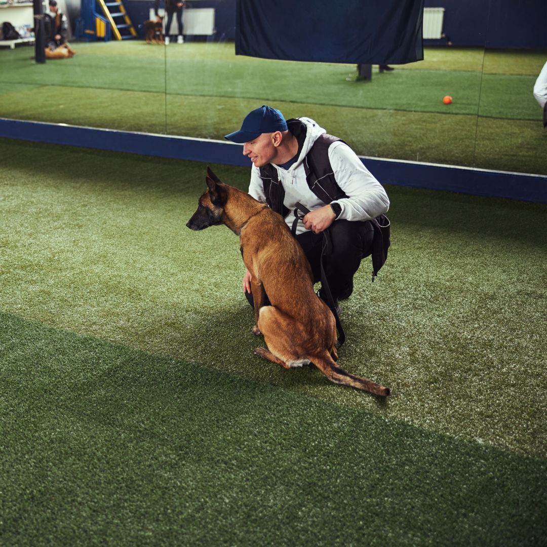 Professional dog trainer kneeling down next to a dog. 