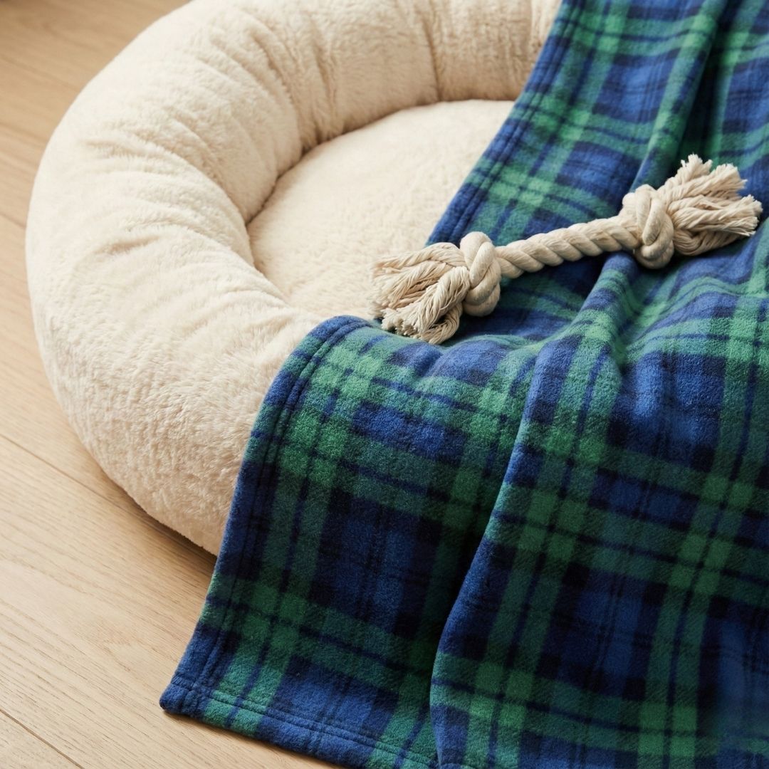 dog bed with blanket and toy
