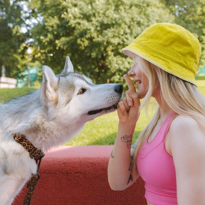 woman smiling at a husky woman smiling at a husky