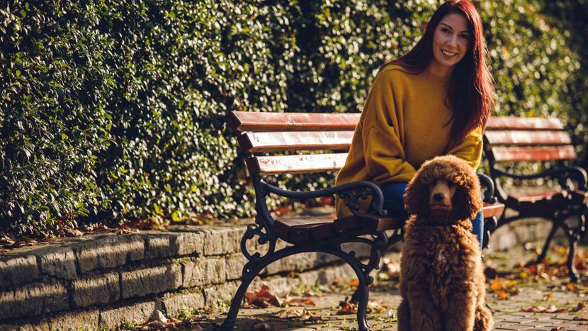 M37438 - How Well Mannered Dogs Benefit Their Companions Hero Image.jpg