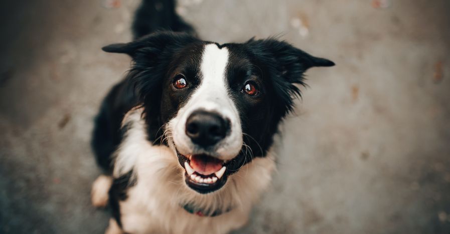 Featured Image_4Exercises.jpg