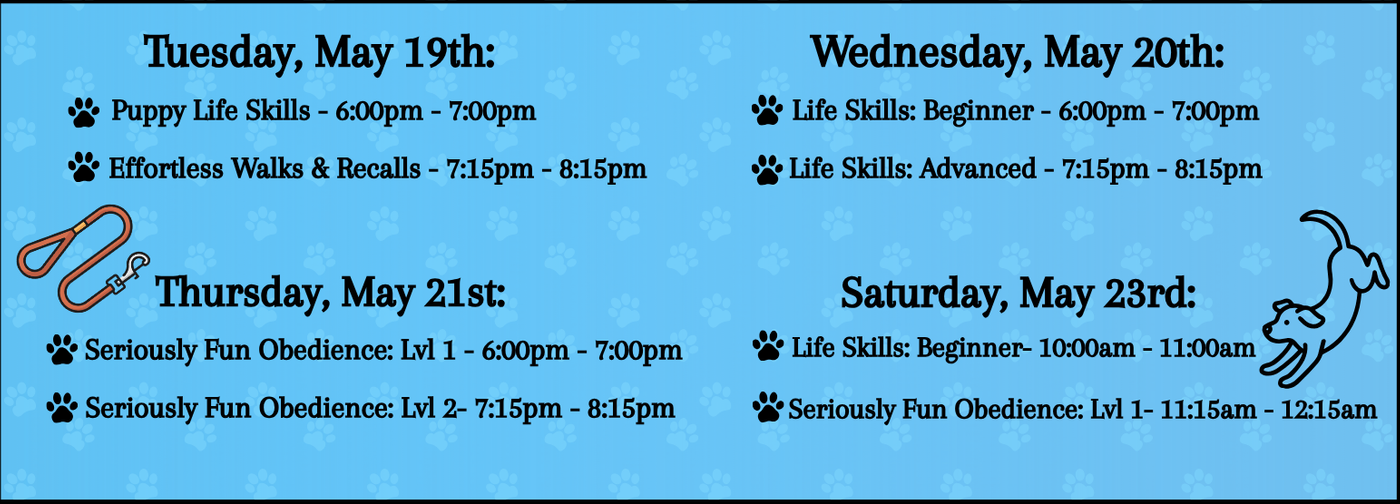 New Group Classes! copy.png