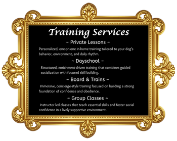 Training Services.png