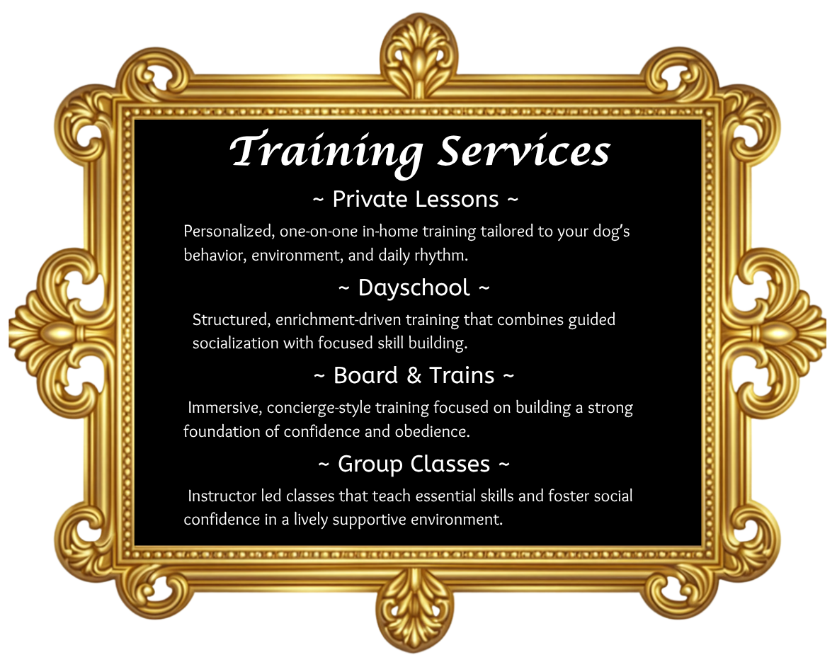 Training Services.png