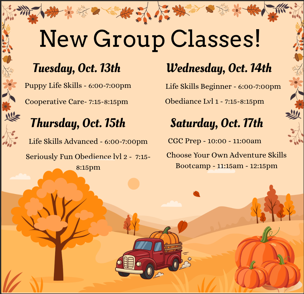 New Group Classes!.png