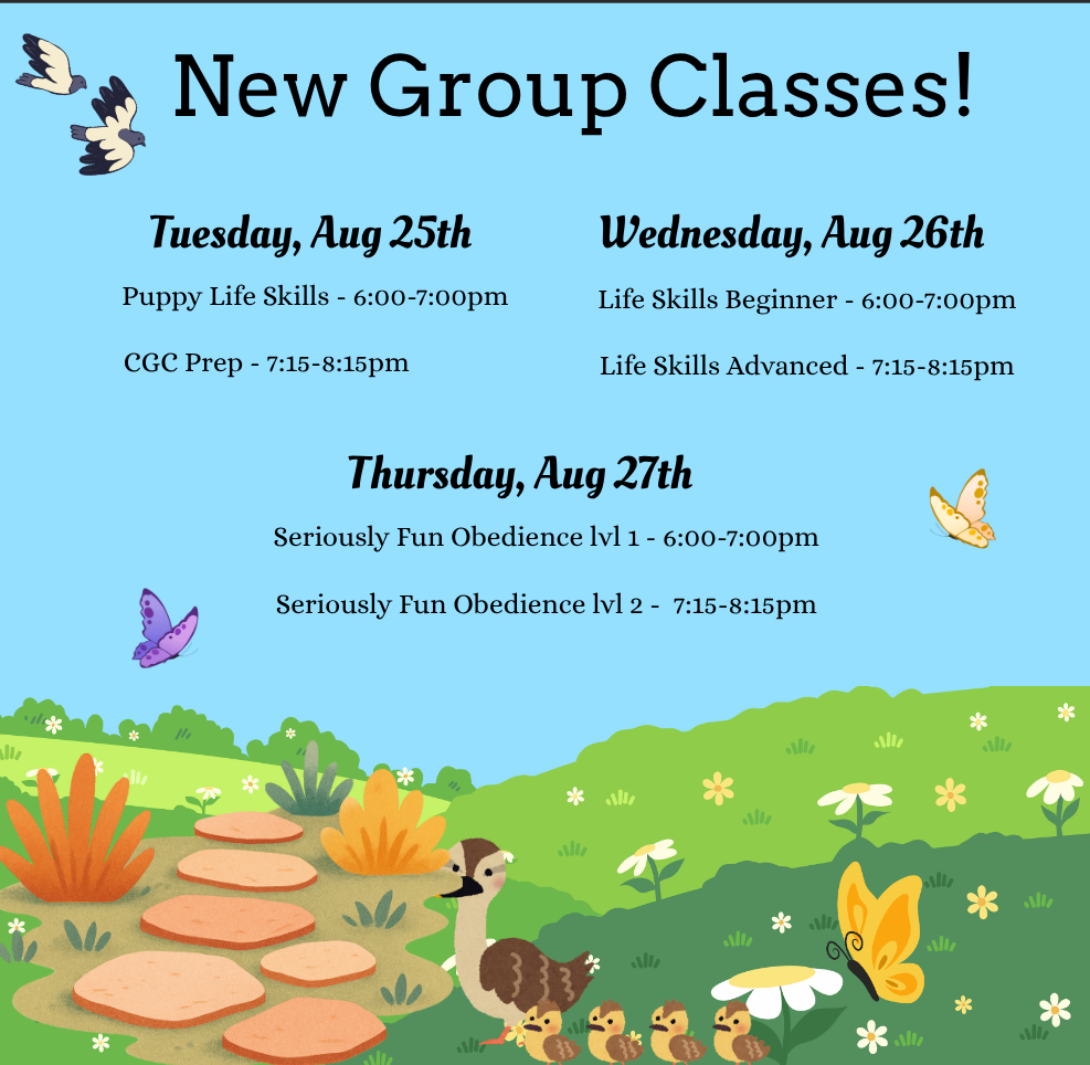 New Group Classes!.png