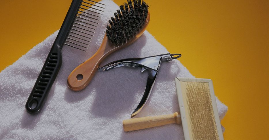 grooming tools