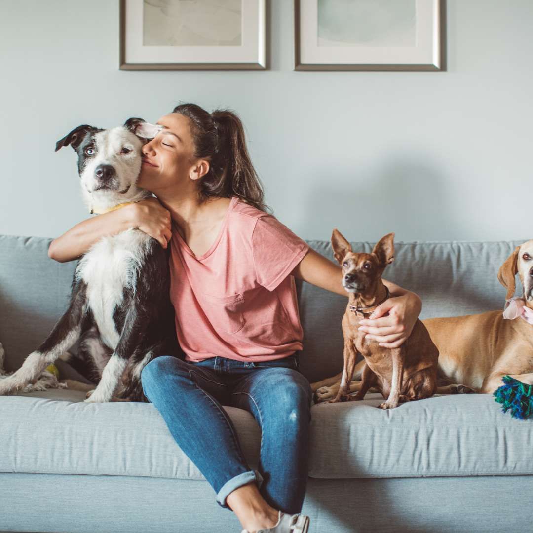 dogs on couch with smiling woman