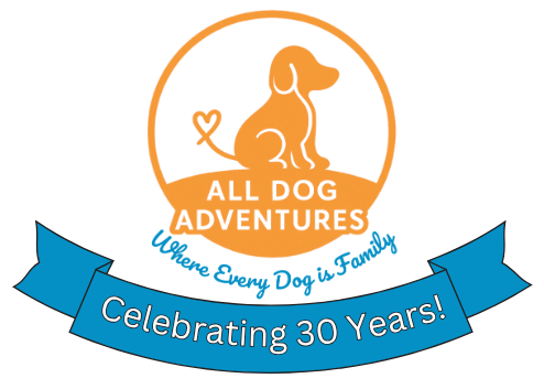 All Dog Adventures All Dog Adventures