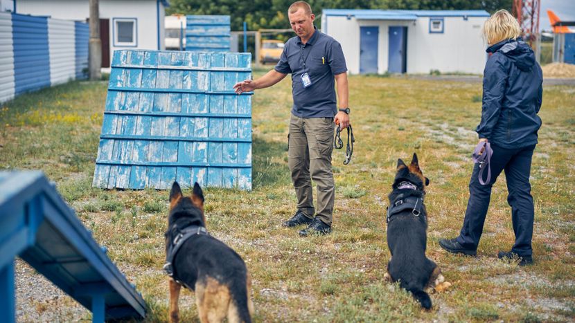 Two professional dog trainers training two dogs. 