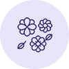 Blossoms icon