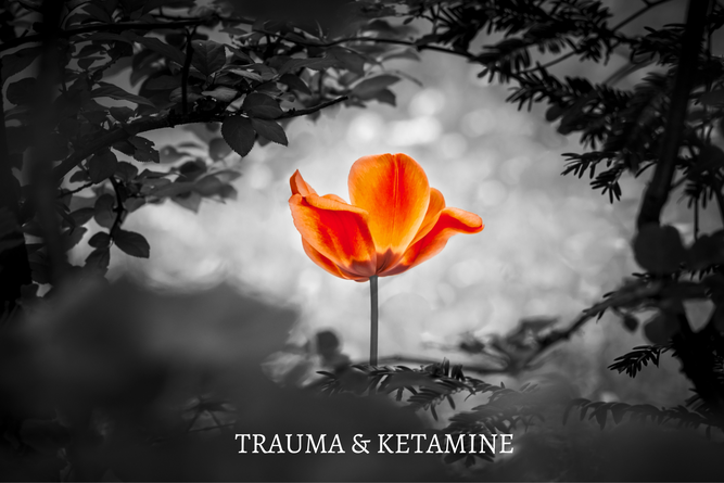 TRAUMA & KETAMINE-4.png