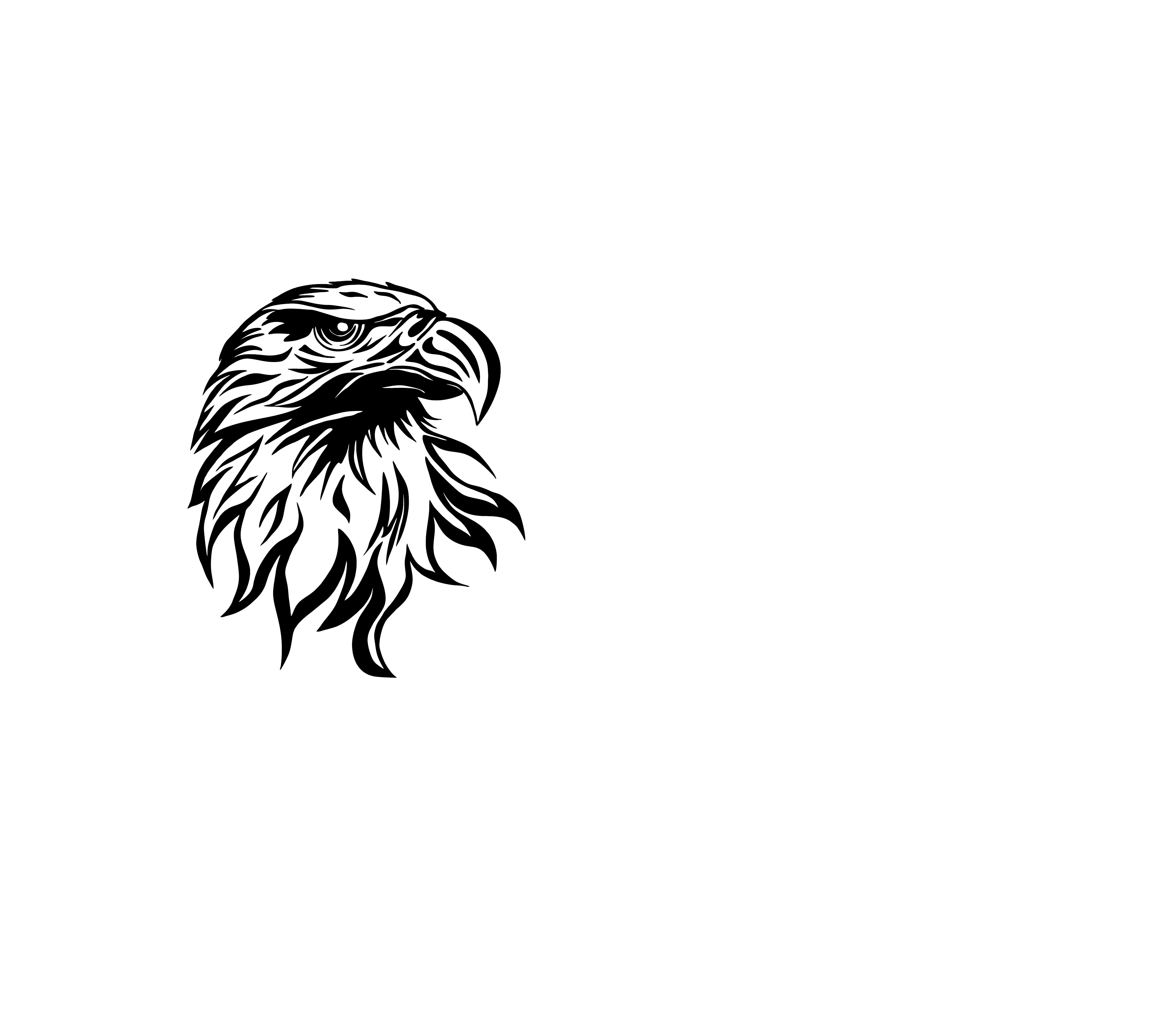 American Electric And Plumbing