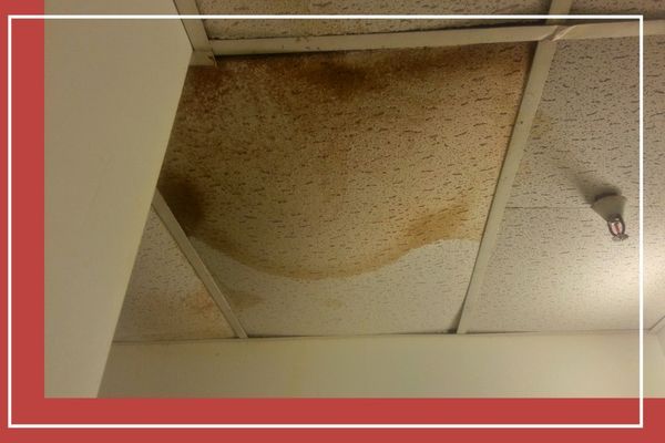 Water Leak Detection 2.jpg