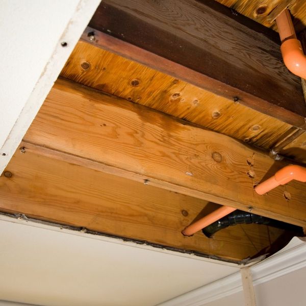 Small Leaks - IMG 2.jpg