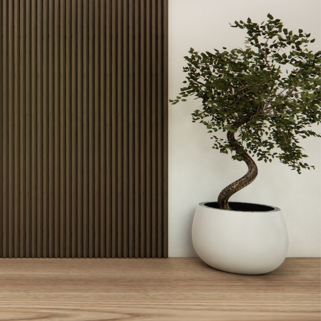 Hardwood floor with green wall and plant