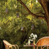 lighting hanging from a tree above a table