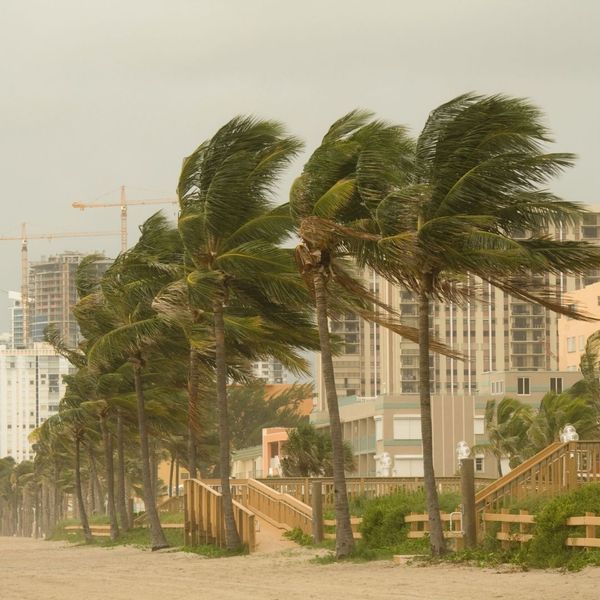 Florida storm.