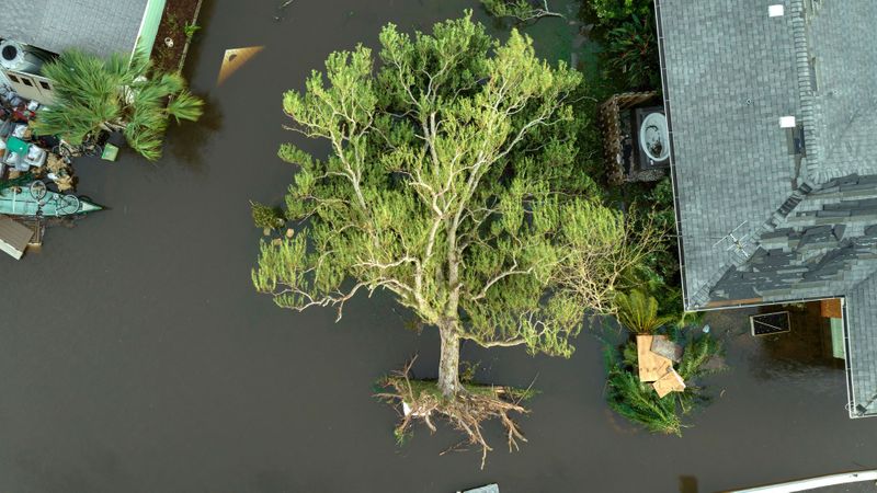 Florida storm.