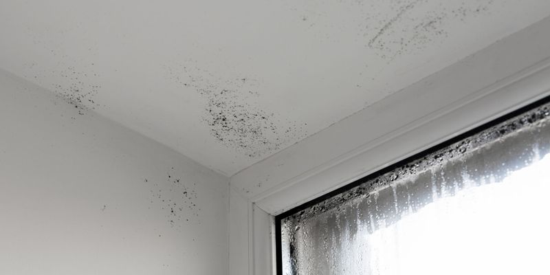 Mold on a home ceiling.