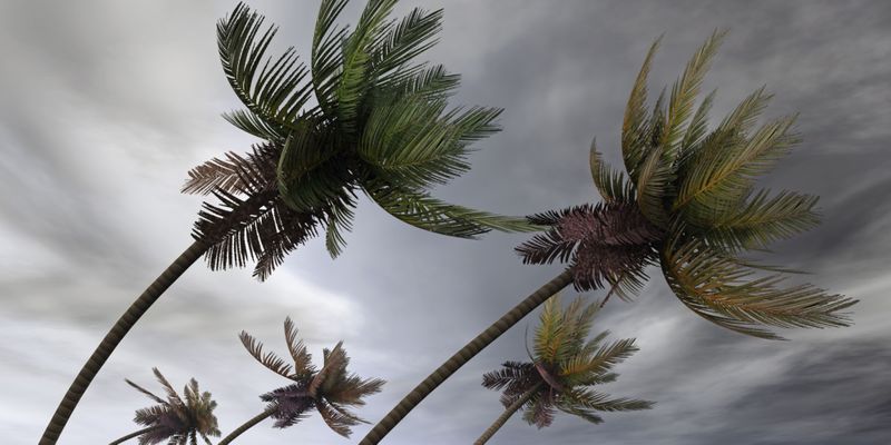 Hurricane in Florida.