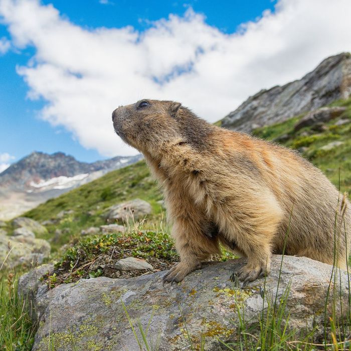 Discover Rocky Mountain National Park.jpg