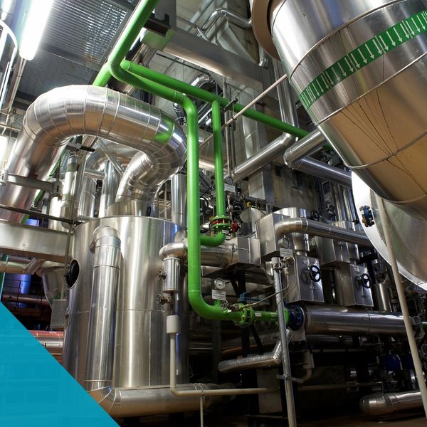 Salida - Image 4.jpg