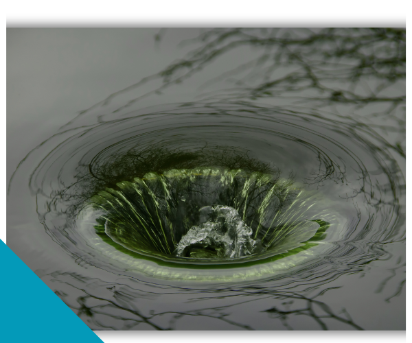 green cleaner going down drain green cleaner going down drain